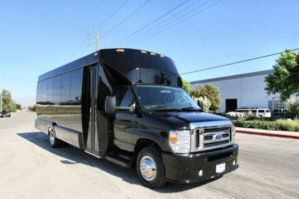 10-20 Passenger Party Buses