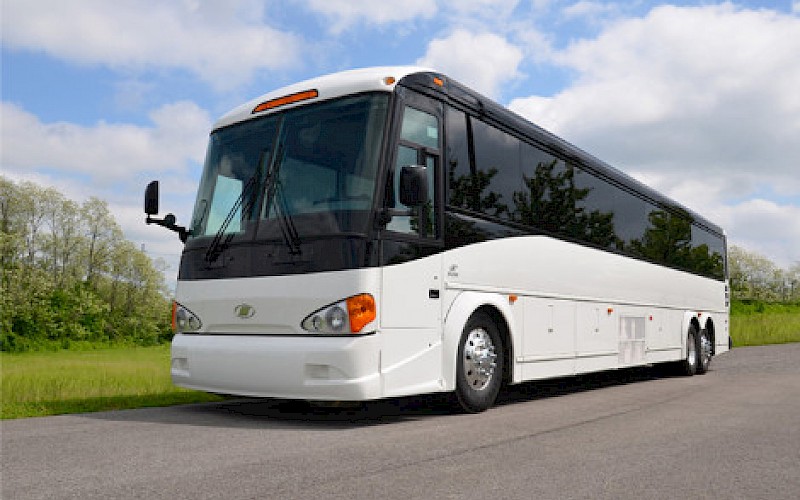 47-56 Passenger Charter Buses